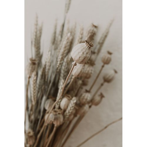 Tableau Sur Toile Bouquet De Fleurs Séchées 30x45 Cm