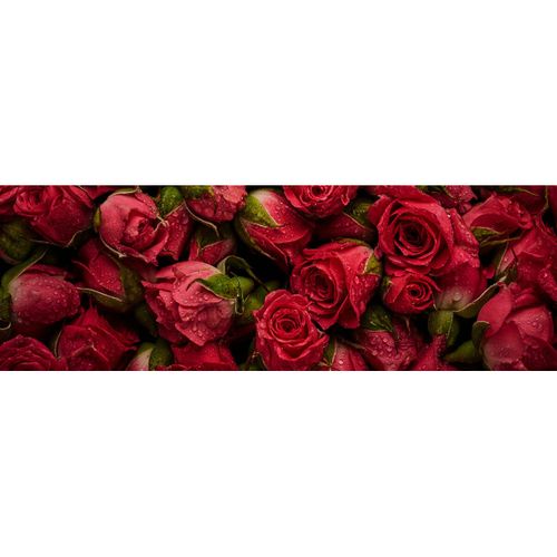 Tableau Sur Toile Roses Rouges 30x97 Cm