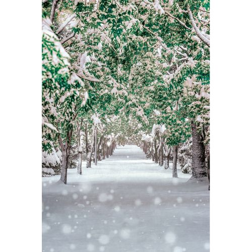 Tableau Sur Toile Chemin Enneigé 30x45 Cm