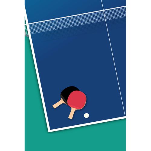 Tableau Sur Toile Ping Pong 30x45 Cm