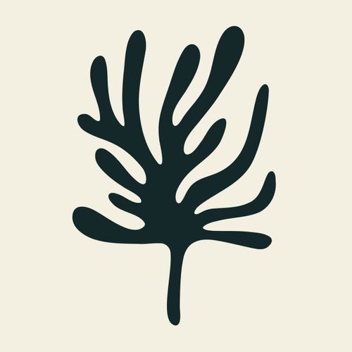 Tableau Sur Toile Fleur Végétale 30x30 Cm