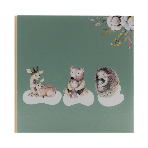 Album Photo Pochettes Comptines 200 Photos