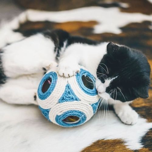 Griffoir XXL - Aimé - Boule Bleue + 1 Balle 11.5cm