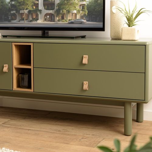 Ethan - Meuble TV 1 Porte, 2 Tiroirs Et 2 Niches En Bois Vert