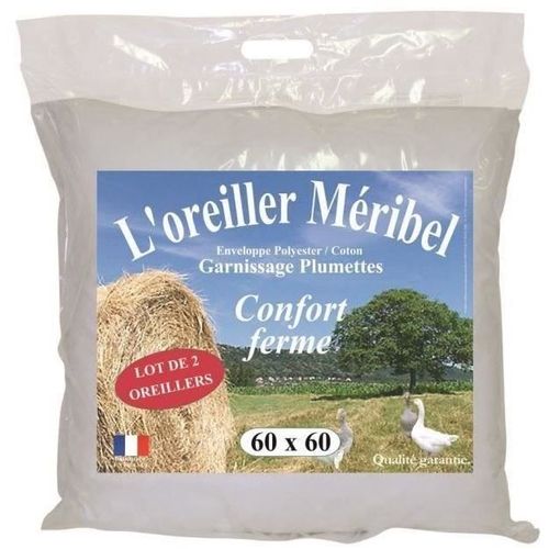 Lot De 2 Oreillers Meribel Plumettes 60x60cm