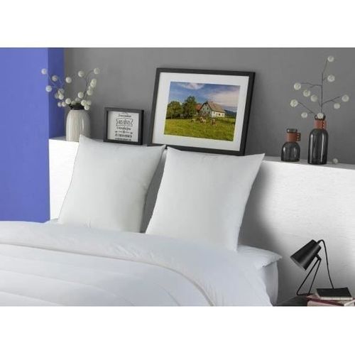 Lot De 2 Oreillers Meribel Plumettes 60x60cm