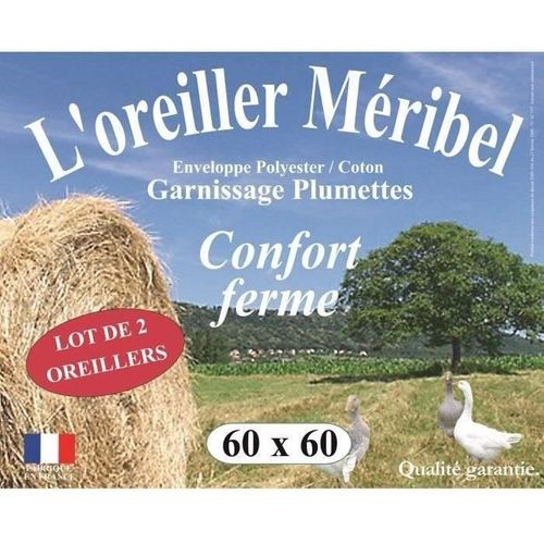 Lot De 2 Oreillers Meribel Plumettes 60x60cm