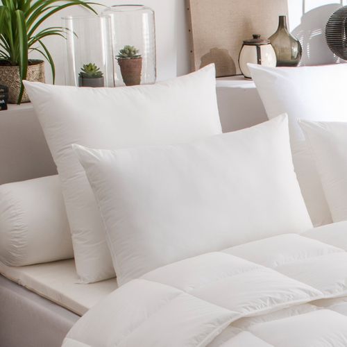 Oreiller Acarina Anti-acariens Medium 40 X 60 Cm Blanc