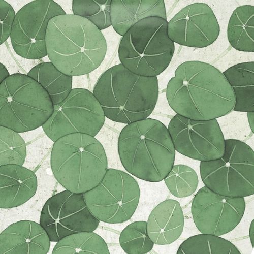 Abattant Easy Clip Avec Descente Assistée Feuilles De Piléa - 49.5x38 Cm - Blanc