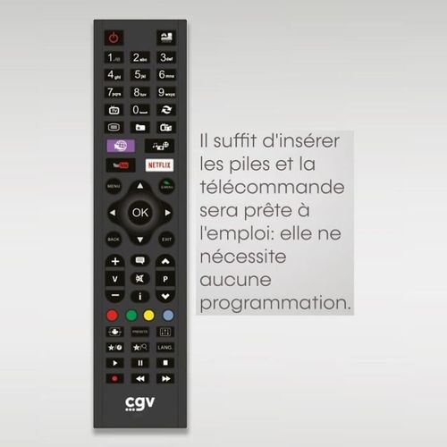Télécommande de remplacement - CGV - Fidelio Grundig - Sans programmation - Prête à l'emploi
