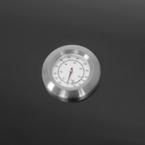 Barbecue Au Gaz Fyra Avec Thermomètre - 4 Brûleurs