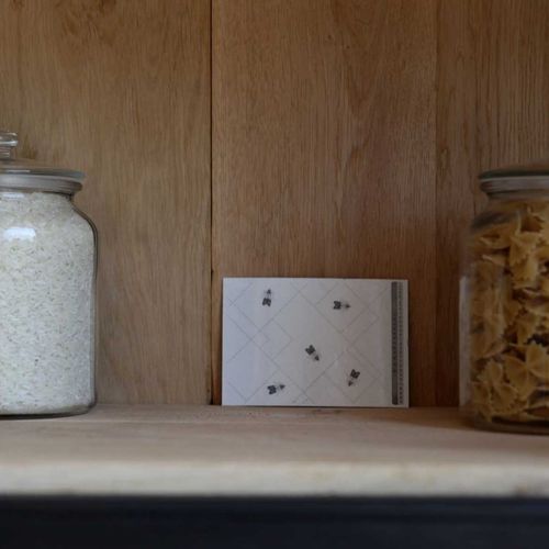 Pièges à Mites Alimentaires Étui De 2