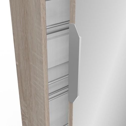 Armoire à Chaussures Zapatero - 12 Paires - Décor Chêne Et Noir - L50 X P18 X H200 Cm - Cba Meubles