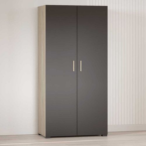 Armoire Liva 2 Portes Tournantes, 1 Tringle Et 2 Étagères-chêne Kronberg/noir Mat