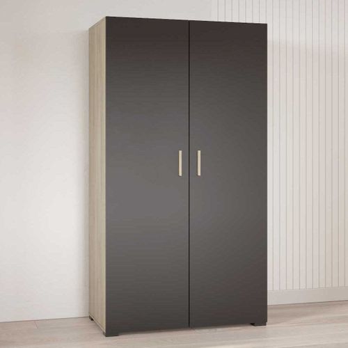 Armoire 2 Portes Penderie + Lingère Izzy Noir Et Bois