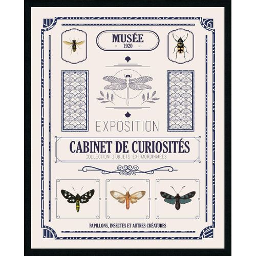 Toile 40x50 cm CABINET DE CURIOSITE Lario noir
