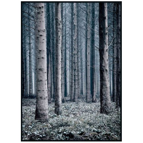 Toile 50x70 cm TRONC Lario noir