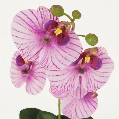 Orchidee Artificielle Veinee 35cm