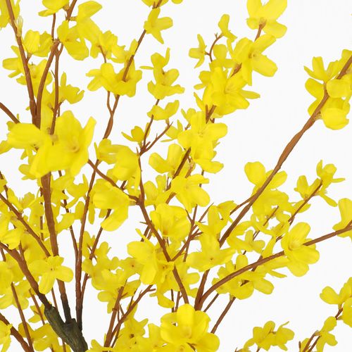 Forsythia Artificiel Jaune 150cm