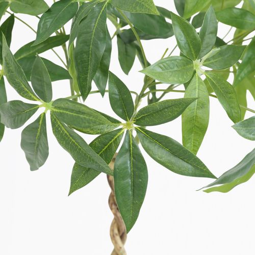 Plante Artificielle Pachira 60cm