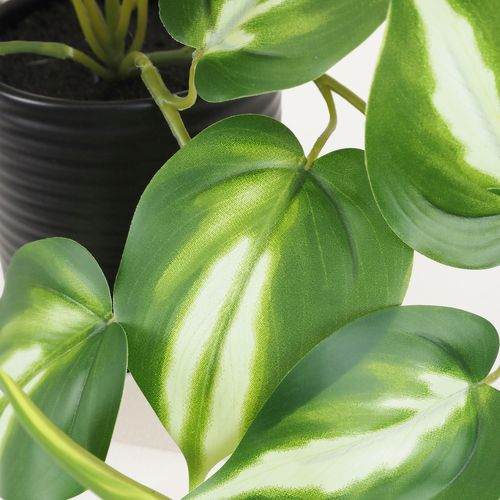 Plante Artificielle Tombante Pothos 50cm