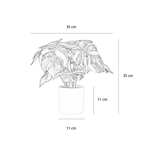Monstera Artificiel Variegata Toucher Naturel 35cm