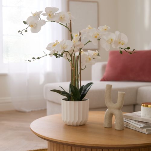 Orchidée H. 61 cm SARAH Blanc