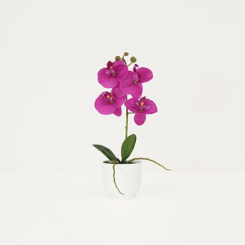 Orchidee Artificielle Fuchsia 35cm