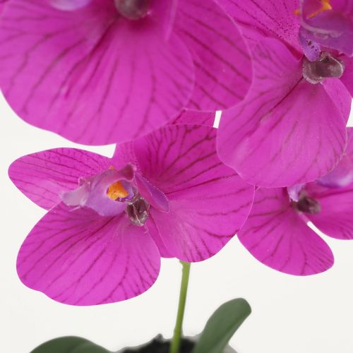 Orchidee Artificielle Fuchsia 35cm