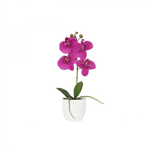 Orchidee Artificielle Fuchsia 35cm