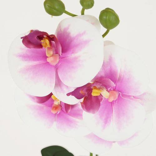 Orchidee Artificielle Blanc-fuchsia 35cm