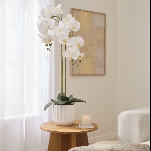 Orchidée H. 100 cm SARAH Blanc