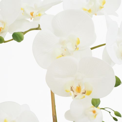 Orchidee Artificielle Toucher Naturel 45cm