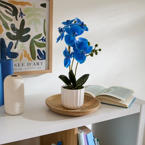 Orchidées pot H. 40 cm  Blanc / Bleu / Rose