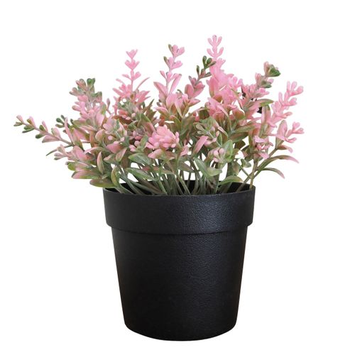 Feuillage H. 16 cm - Rose, blanc ou violet