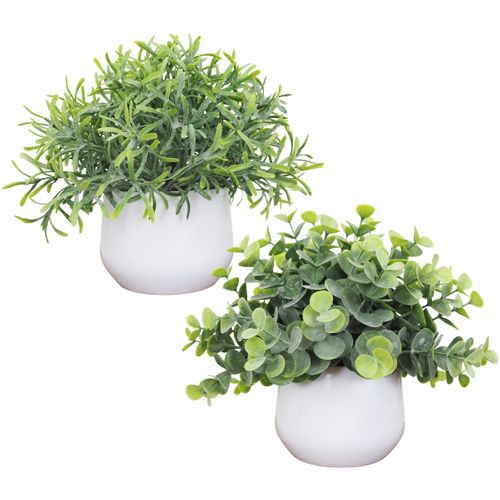 Feuillage succulente H. 18 cm - Eucalyptus ou succulente