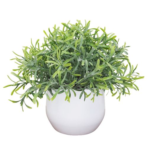Feuillage succulente H. 18 cm - Eucalyptus ou succulente