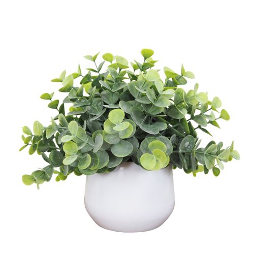 Feuillage succulente H. 18 cm - Eucalyptus ou succulente