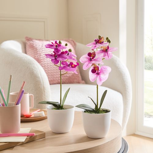 Orchidée pot blanc ASS  Multicouleur