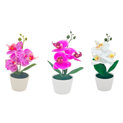 Orchidée H. 23 cm - Blanc, fuchsia ou blanc-rose
