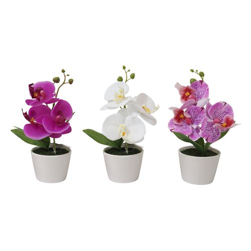 Orchidée H. 23 cm - Blanc, fuchsia ou blanc-rose