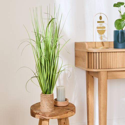 Graminés pot corde H. 65 cm  Vert