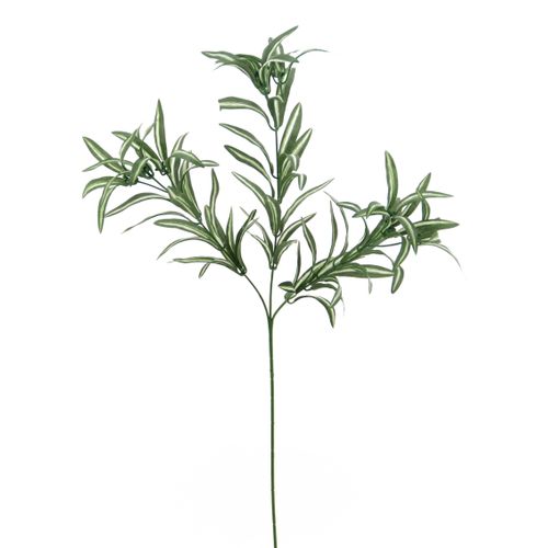 Spider feuillages H. 80 cm Vert