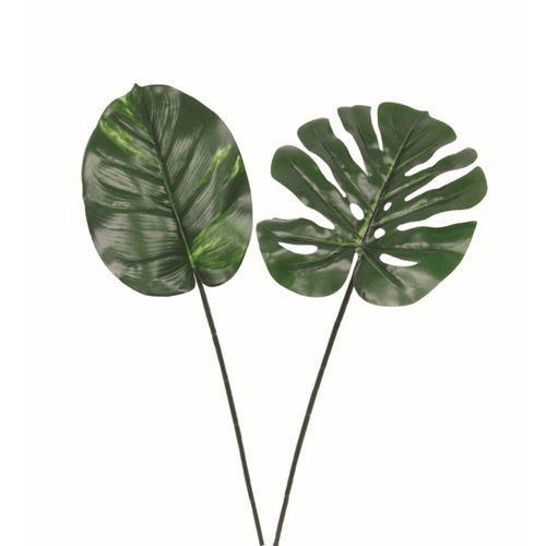 Lys tige 2 fleurs H. 78 cm  Vert