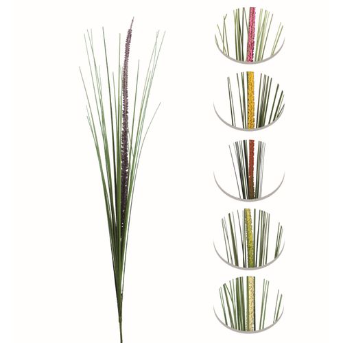 Liatris tige H.90 cm5 6 modèles au choix