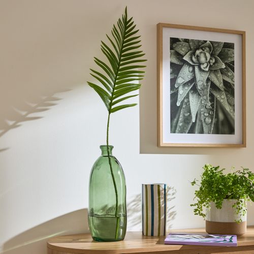 Arecca palme feuillage H100 cm  Vert