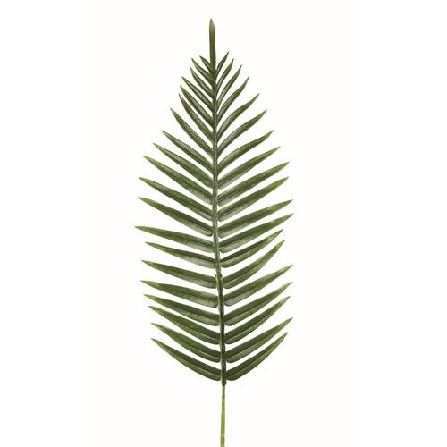 Arecca palme feuillage H100 cm  Vert