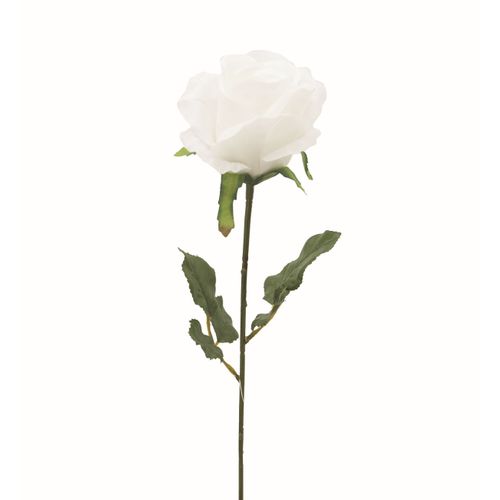 Rose tige H. 72 cm Blanc