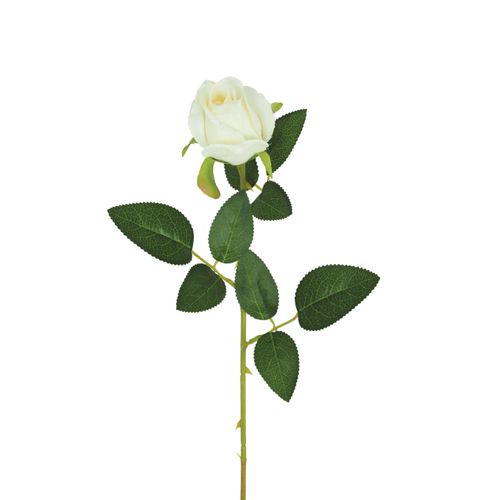 Bouton de rose H. 63 cm  Blanc