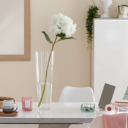 Hortensia tige H. 80 cm  Crème